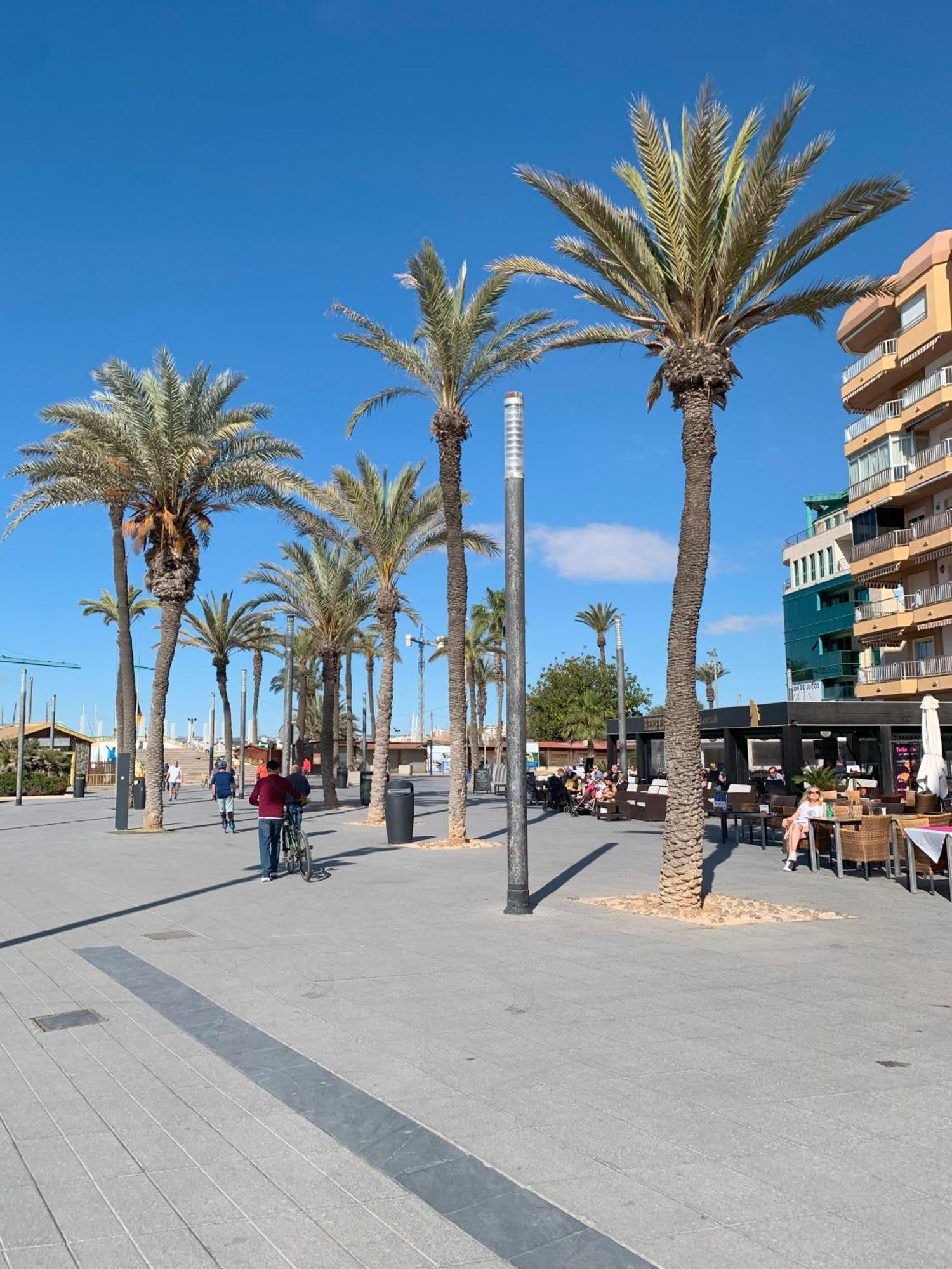 Princesa Blanka By Zanis Torrevieja Exteriör bild